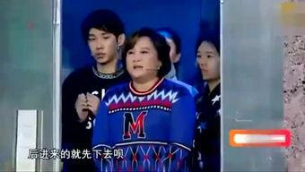 吃瓜综艺娱乐猪,娱乐猪的欢乐盛宴