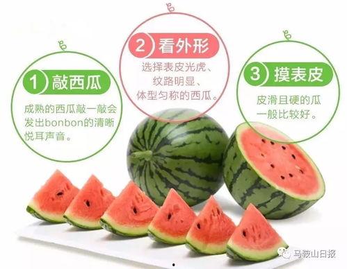 吃瓜娱乐社大咖